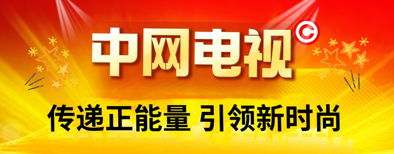 中网电视